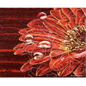 Gerbera couleur passion