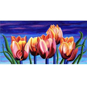 Les tulipes pointent vers le ciel